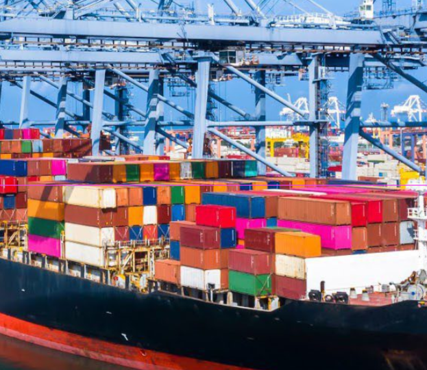 Containers schip geconditioneerd vervoer